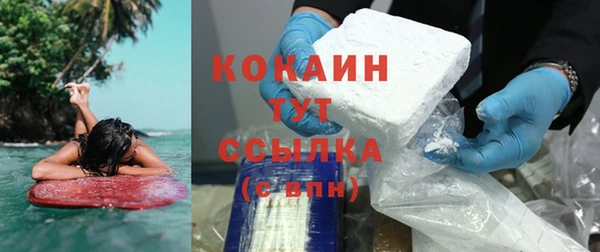 дживик Кулебаки