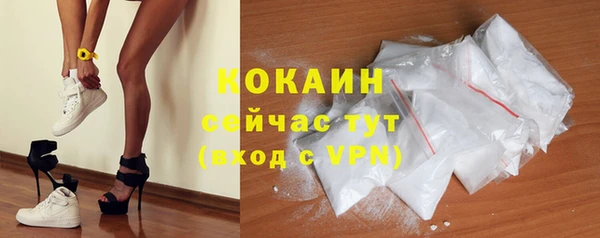 дживик Кулебаки
