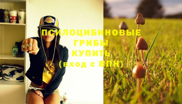 jwh Ладушкин