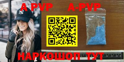 стафф Дубна
