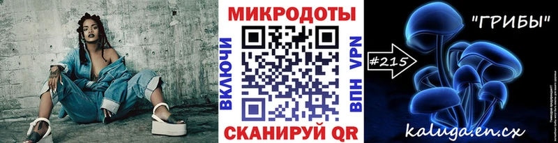 Галлюциногенные грибы Psilocybine cubensis Малгобек