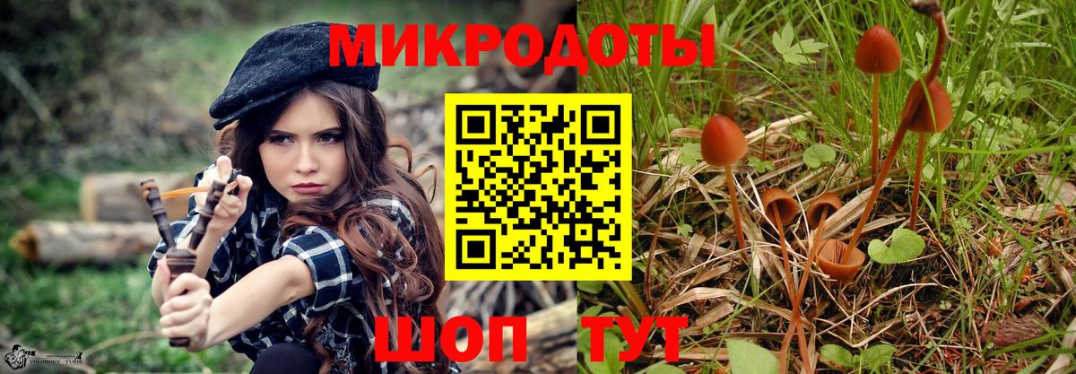 даркнет сайт  Вход с VPN  Малгобек  Псилоцибиновые грибы прущие грибы  Галлюциногенные грибы прущие грибы 