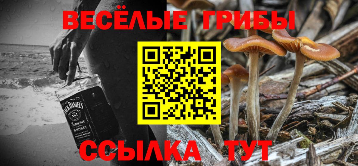 Галлюциногенные грибы GOLDEN TEACHER Малгобек