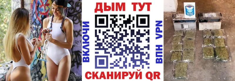 закладка  Малгобек  Каннабис семена 